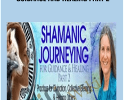 what does shamanic healing do