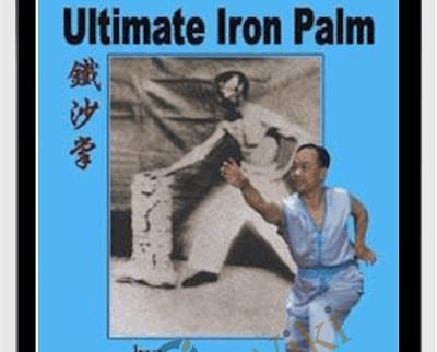 shaolin iron palm training