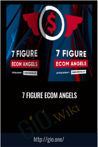 7 Figure Ecom Angels - Anonymously