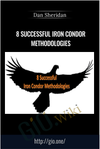 8 Successful Iron Condor Methodologies