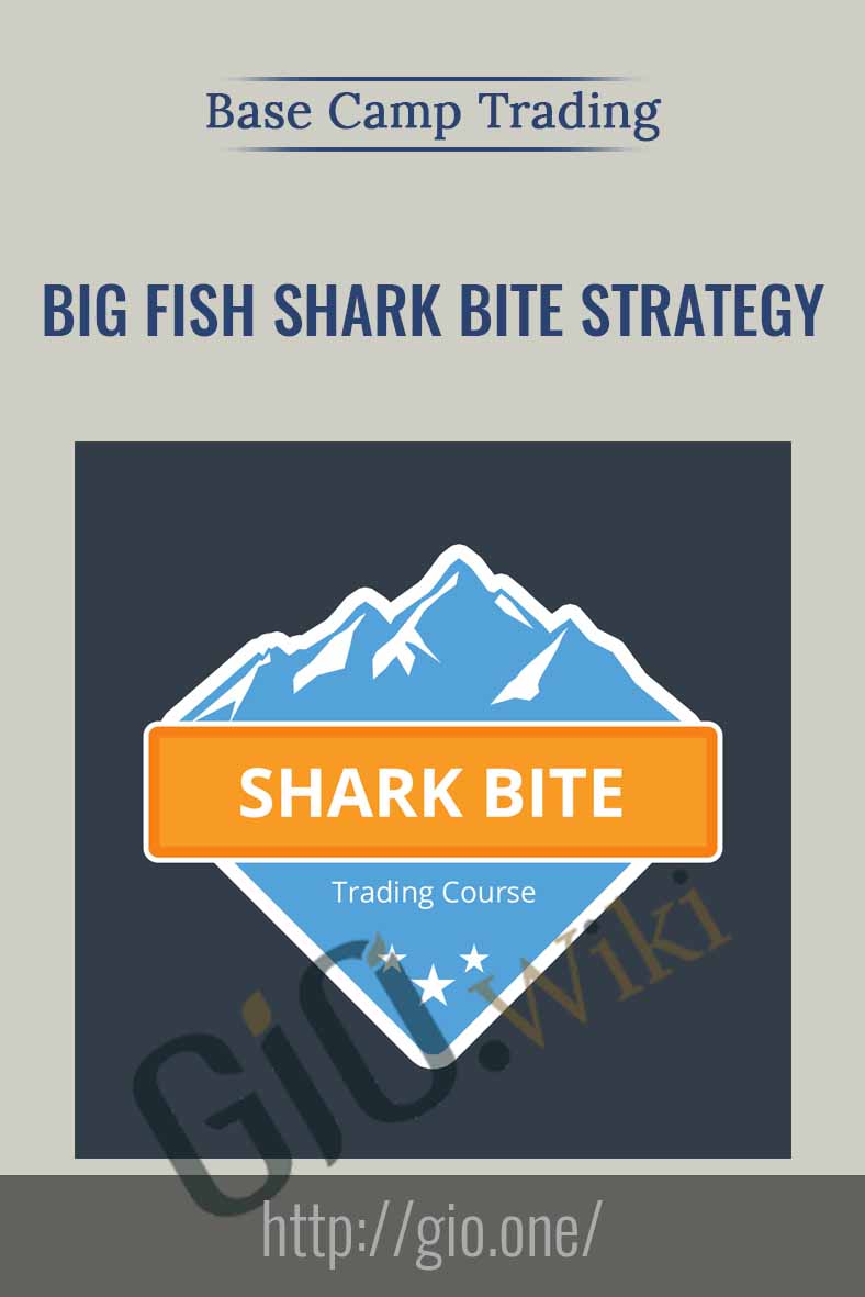 Big Fish Shark Bite Strategy