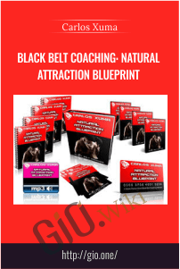 Black Belt Coaching-Natural Attraction Blueprint