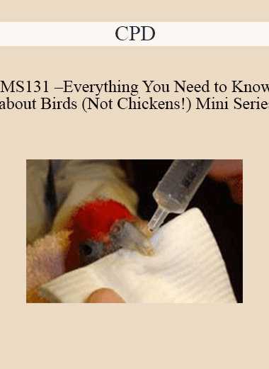 [{"keyword":"MS131 – Everything You Need to Know about Birds (Not Chickens!) Mini Series"